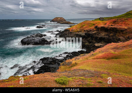 Die nobbies vom Boardwalk Phillip Island Stockfoto