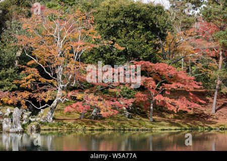 Herbstfarben im Tenryu-ji Tempel, Kyoto, Japan. Stockfoto