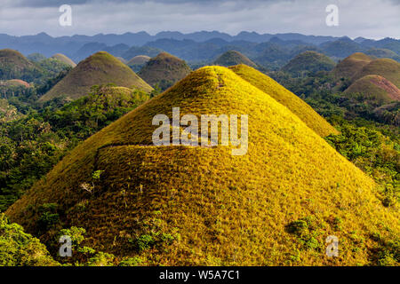 Die Chocolate Hills, Carmen, Bohol, Philippinen Stockfoto