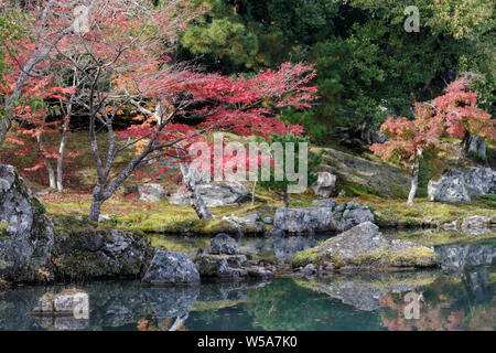 Herbstfarben im Tenryu-ji Tempel, Kyoto, Japan. Stockfoto