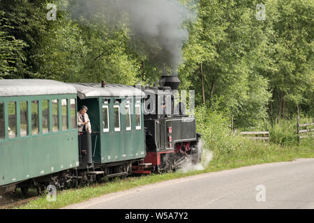 Moldoviţa, Bukowina, nördlichen Rumänien - eine Schmalspurige Dampf Eisenbahn Zug oder "ocăniță' (little Shepherd). Der Motor ist mit Holz befeuerten. Stockfoto