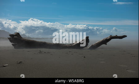 Ein Strand im Redwood National- und Staatsparks, Kalifornien. Ein Teil der Toten Redwood liegt auf dem Sand wie ein verlassenes Schiff. Stockfoto