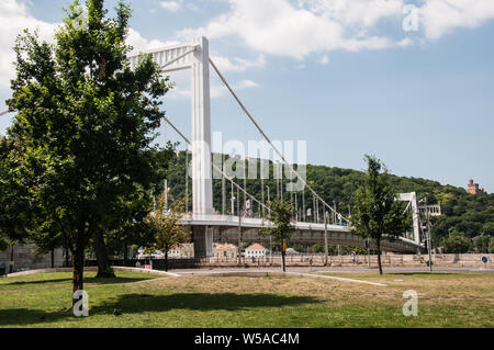 Um Budapest - Elisabeth Brücke über die Donau. Stockfoto