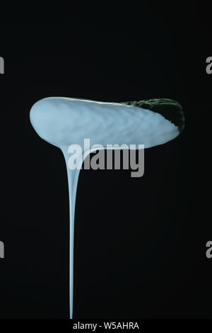 Schöne frische Gurke Tropfen weißer Farbe auf schwarzem Hintergrund. Kreative Poster. Stockfoto
