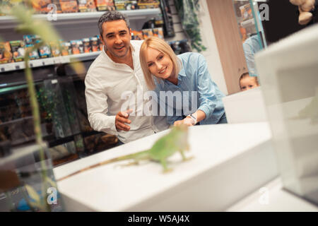 Mann und Frau auf Leguan beim Besuch Pet Shop Stockfoto