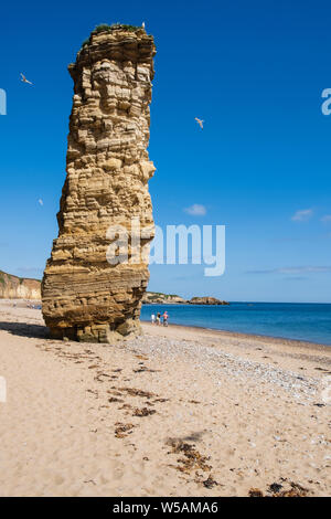 Lot's Frau meer-Stack auf dem sandigen Strand an der Marsden Bay an der Küste in der Nähe von South Shields South Tyneside, Tyne und Wear Stockfoto