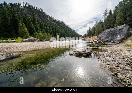 Mittlere Gabel der Salmon River in Idaho, in der Nähe der Grenze Creek im Sommer Stockfoto