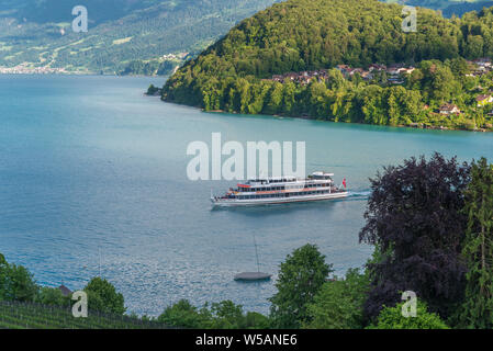 Ausflug Schiff auf See Thun, Spiez, Berner Oberland, Schweiz, Europa Stockfoto