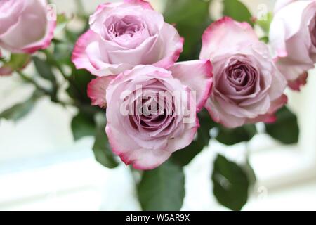 Blumenstrauß aus Rosen geschmückt mit Kopie Raum Stockfoto