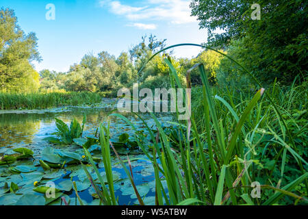 Schöne Aussicht der rhe Hirskiy Tikich River in der Nähe von buky's Canyon, Buky, Ukraine Stockfoto