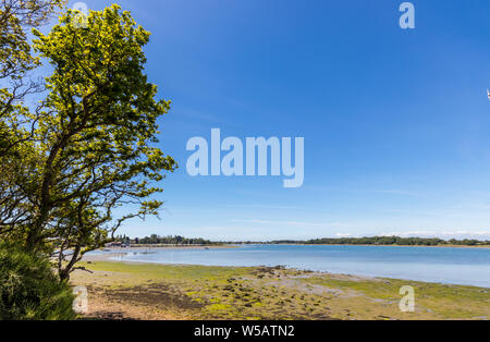 Landschaft Blick über Fishbourne Kanal in Chichester Harbour, West Sussex, Großbritannien Stockfoto