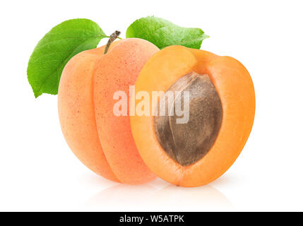 Isolierte Aprikosen. Eine und eine halbe Aprikose mit Kernel auf weißem Hintergrund mit Freistellungspfad isoliert Stockfoto