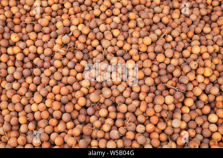 Früchte der Dimocarpus longan, die gemeinhin als die longan bekannt lag auf einem Zähler der Marktplatz in Kota Kinabalu, Malaysia Stockfoto