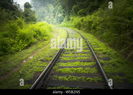 Bahnstrecken in die grüne Landschaft Stockfoto