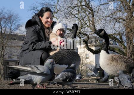 Junges Kind mit ihrer Mutter lächelte, als sie an der Kanadagänse (Branta canadensis) und verwilderte Tauben, Regent's Park, London, Großbritannien, Februar. Stockfoto