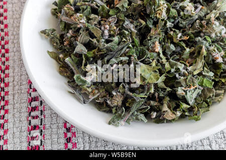 Getrocknete Blüten und Blätter von motherwort, eine wertvolle Heilpflanze mit einer beruhigenden Wirkung. Es ist für die Zubereitung von Infusionen verwendet. Stockfoto