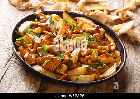 Vegetarisches Gericht gebratene Kartoffeln mit Knoblauch, Petersilie und Pfifferlingen closeup auf einem Teller auf den Tisch. Horizontale Stockfoto