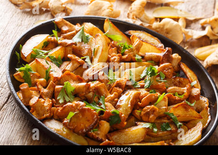 Gebratene Kartoffeln mit Knoblauch, Petersilie und Pfifferlingen close-up auf einem Teller auf den Tisch. Horizontale Stockfoto