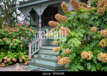 Historischen viktorianischen Häusern und Bed and Breakfast in Cape May, New Jersey, USA. Stockfoto