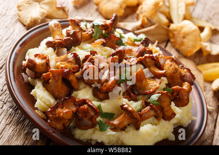 Traditionelle Kartoffelpüree mit gebratenen Pfifferlingen, Zwiebeln und Petersilie closeup auf einem Teller auf den Tisch. Horizontale Stockfoto