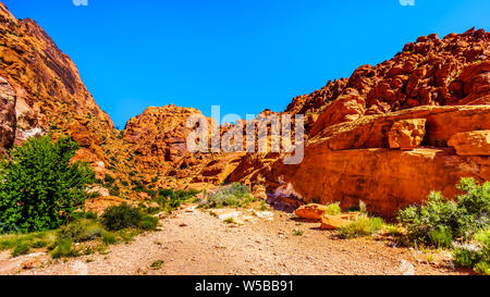 Ansicht des roten Sandstein Berge vom Trail der Guardian Angel Peak in der Red Rock Canyon National Conservation Area in der Nähe von Las Vegas, Nevada, USA Stockfoto