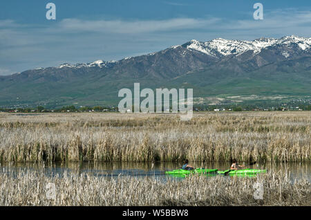 UT: Cache County, Logan, Stadt von Logan, Kajakfahrer im Bear River, mit den alpinen Gipfeln der Wellsville Bereich im Hintergrund Stockfoto