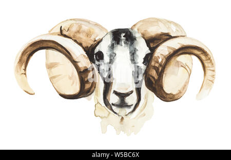 Watercolor Illustration eines Ram isoliert auf weißem Stockfoto