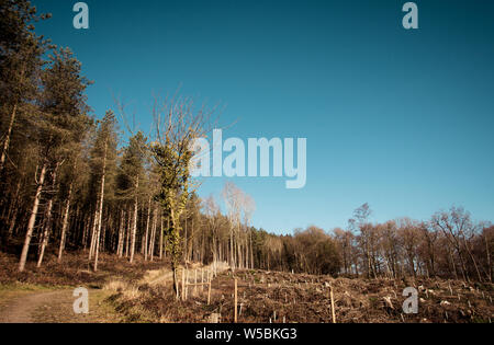 Die Wrekin, Telford, Shropshire, England. Ansichten aus einem wunderschönen Hügel in der Landschaft von Shropshire Stockfoto