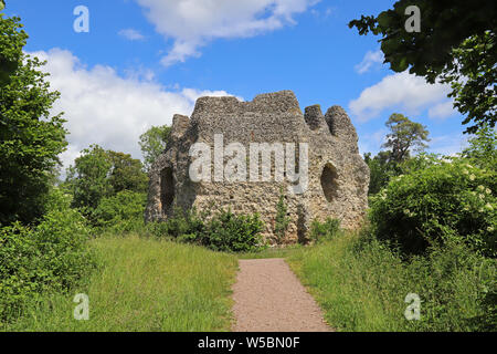 Odiham Burg erbaut 1214 auch bekannt als King John's Castle, von der Basingstoke Canal, Hampshire UK Stockfoto