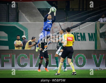 Sao Paulo, Brasilien. 27. Juli, 2019. Übereinstimmung zwischen Palmeiras (SP) vs Vasco (RJ), gültig von England 2019 in seine 12. Runde, bei der Allianz Parque, westlich von São Paulo, diesen Samstag (27.). Credit: Foto Arena LTDA/Alamy leben Nachrichten Stockfoto