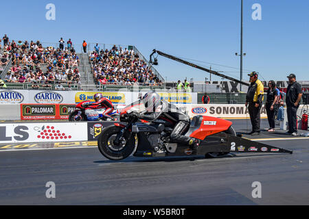 Sonoma, Kalifornien, USA. 27. Juli, 2019. Eddie Krawiec startet seine Harley Davidson pro-Lager bike ziehen während der Nhra Sonoma Staatsangehörigen an der Sonoma Raceway in Sonoma, Kalifornien. Chris Brown/CSM/Alamy leben Nachrichten Stockfoto