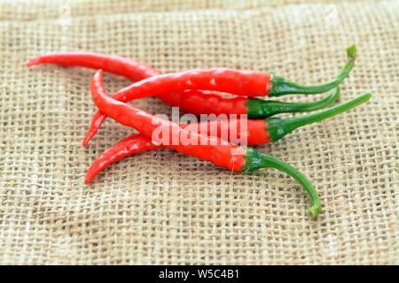 Eine Menge heißen roten cayenne pfeffer auf sackleinen Stockfoto