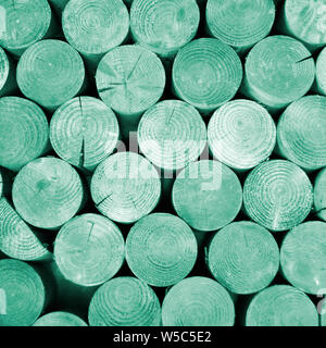 Zusammenfassung Hintergrund Muster Bild von runden Formen und Kreise mit manipulierten Farbe an den Enden des gestapelten gesägt Baum Holz angewandte Protokolle England Großbritannien Stockfoto