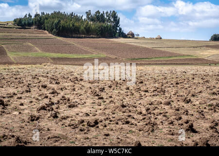Besuche in der Nähe von ankober mit Ray Weil und Kate Tully. Ankober, Äthiopien Stockfoto