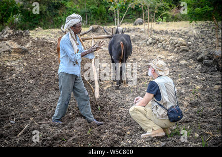 Ein äthiopischer Bauern diskutiert Landwirtschaft mit einem amerikanischen Professor, Debre Berhan, Äthiopien. Stockfoto