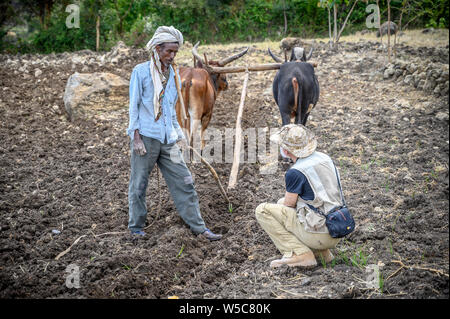 Ein äthiopischer Bauern diskutiert Landwirtschaft mit einem amerikanischen Professor, Debre Berhan, Äthiopien. Stockfoto