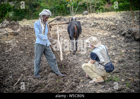 Ein äthiopischer Bauern diskutiert Landwirtschaft mit einem amerikanischen Professor, Debre Berhan, Äthiopien. Stockfoto