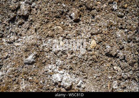 Besuche in der Nähe von debre Berhan mit Ray Weil und Kate Tully. Debre Berhan, Äthiopien Stockfoto