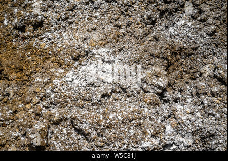 Besuche in der Nähe von debre Berhan mit Ray Weil und Kate Tully. Debre Berhan, Äthiopien Stockfoto