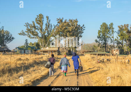 Bergville, Südafrika - Unbekannter schwarze Frauen Landarbeiter Spaziergang entlang einem Feldweg an den Ort ihrer Bild im Querformat einstellen Stockfoto