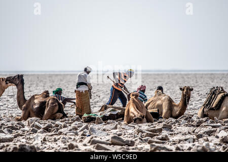 Salz Bergleute graben entfernt an der Salt Flats in der danakil Depression, Äthiopien. Stockfoto