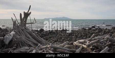 Driftwood Sticks bilden ein angebautes am Strand in Pukerua Bay nördlich von Wellington Stockfoto