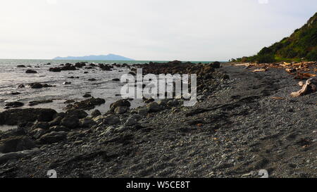 Am späten Nachmittag Sonne hits Treibholz auf den felsigen Strand in Pukerua Bay, NZ, mit Kapiti Insel am Horizont Stockfoto