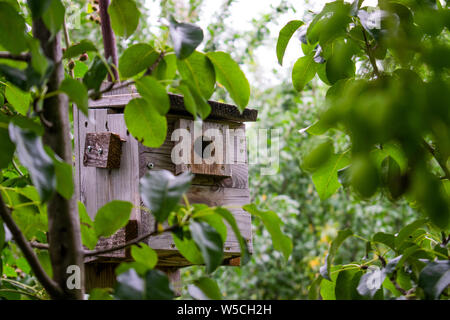 Eine selbstgemachte Vogelhäuschen mitten in der Natur, warten auf einen Vogel zu kommen (für Schwalben) Stockfoto