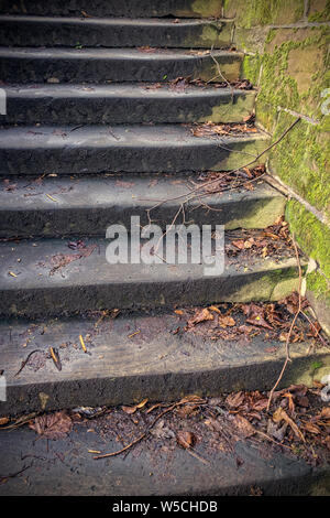 Glatter Beton naß Schritte im Herbst UK Stockfoto