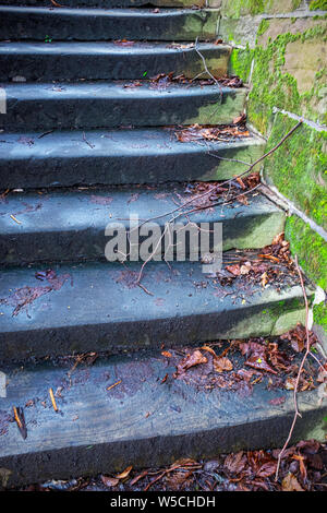 Glatter Beton naß Schritte im Herbst UK Stockfoto