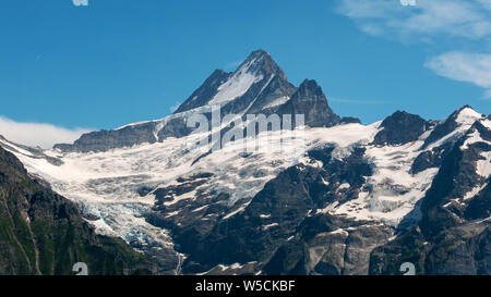 Die Schweizer Alpen im Berner Oberland Stockfoto