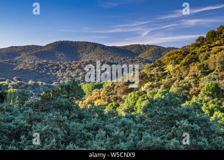 Sierra Norte de Sevilla Naturpark Sierra Morena Gebirges, in der Nähe der Cazalla de la Sierra, Sevilla Provinz, Andalusien, Spanien Stockfoto