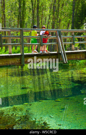 Río Abión, Naturmonument La Fuentona, Soria, Castilla y León, Spanien Stockfoto