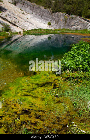 Naturmonument La Fuentona, Río Abión, Soria, Castilla y León, Spanien Stockfoto
